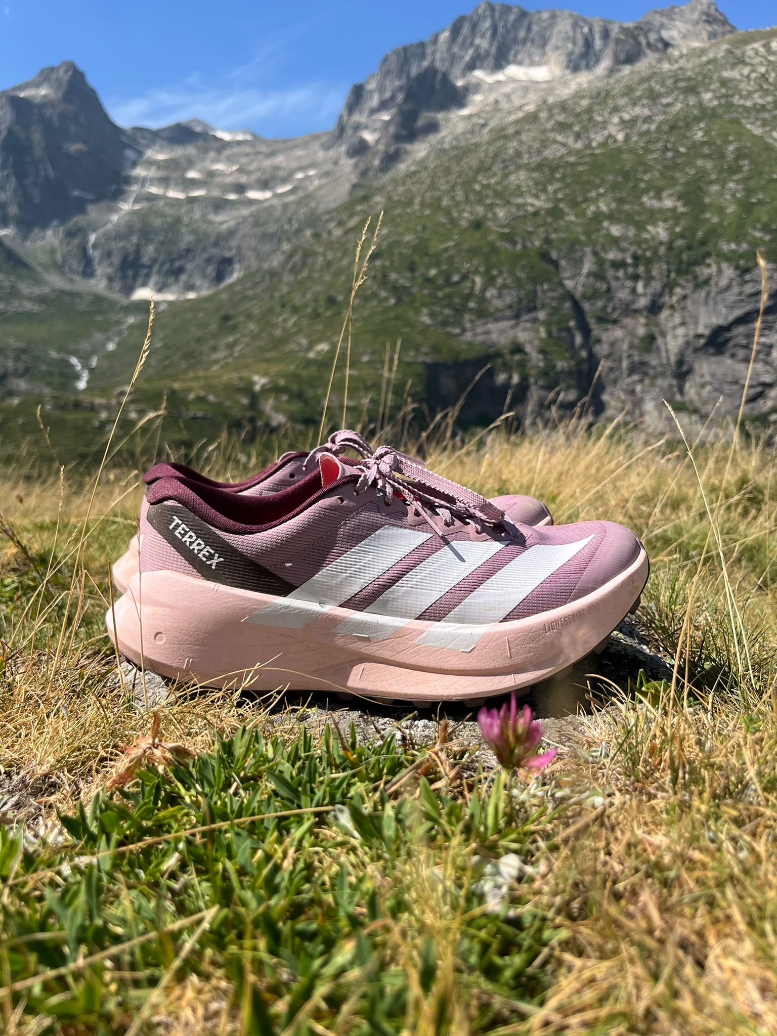 Test Adidas Terrex Agravic SL : mon avis complet après plusieurs sorties en montagne